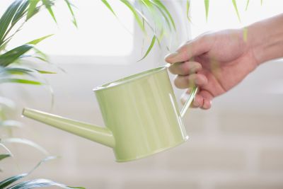 how to Make Tap Water Safe for Plants